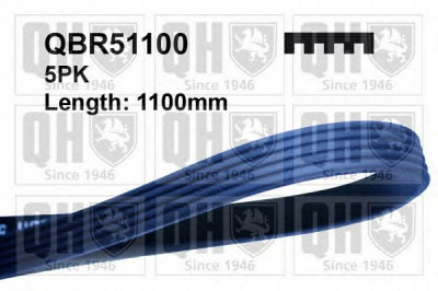 QUINTON HAZELL qbr51100 -  Поликлиновой ремень